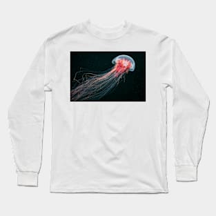 Lion's mane jellyfish (C010/4633) Long Sleeve T-Shirt